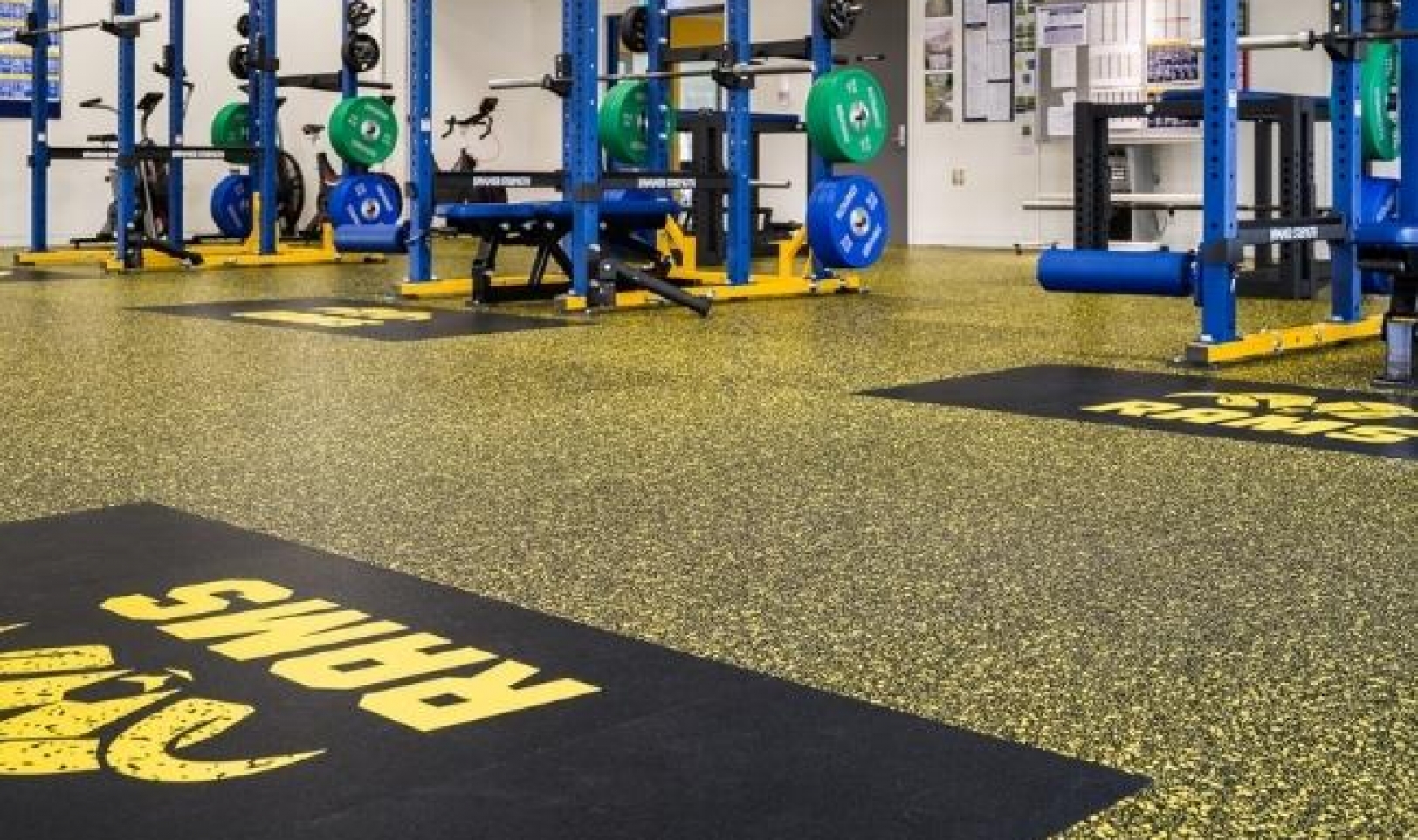 Lincoln University Gym - REPtiles Rubber Flooring