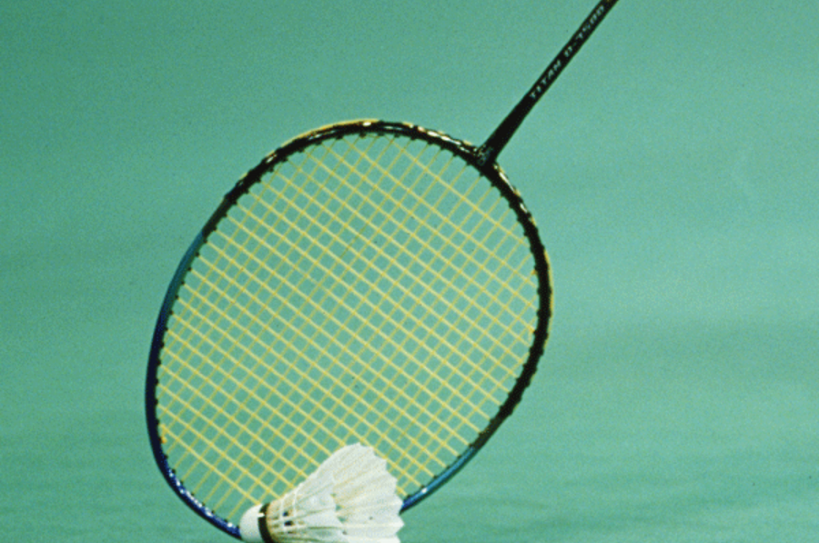 Taraflex Badminton